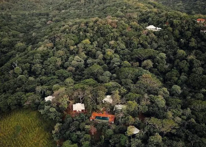 Hyla Nature Retreat